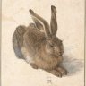 Albrecht Dürer: Young Hare, 1502