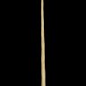 A narwhal tusk